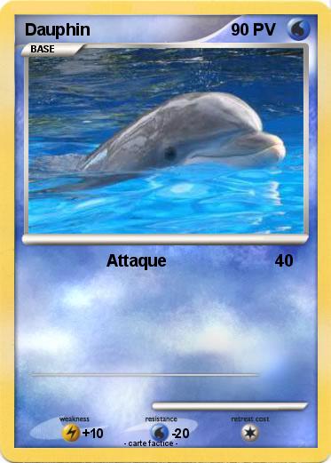 Pokemon Dauphin