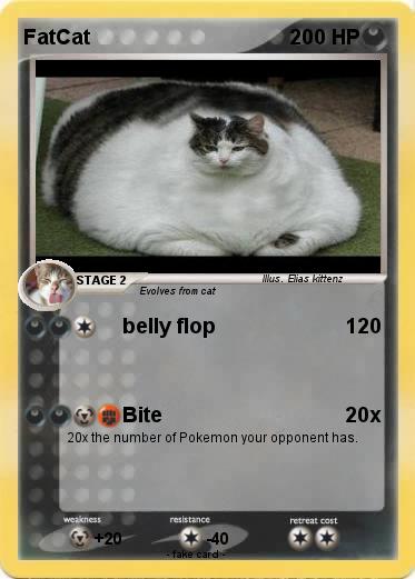 Pokemon FatCat