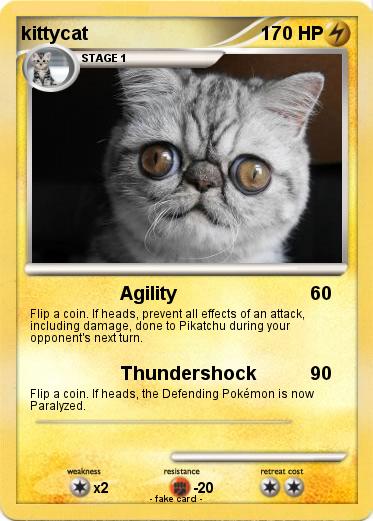 Pokemon kittycat