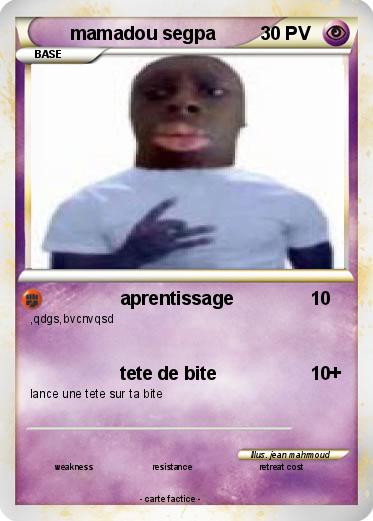 Pokemon mamadou segpa