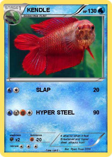 Pokemon KENDLE