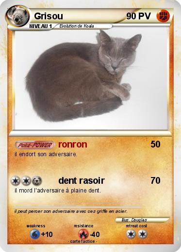 Pokemon Grisou