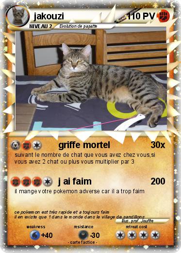 Pokemon jakouzi