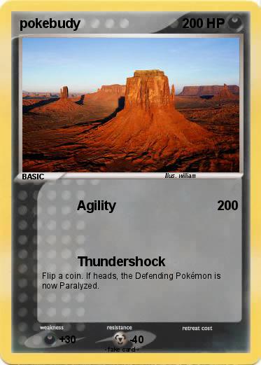 Pokemon pokebudy