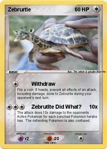 Pokemon Zebrurtle