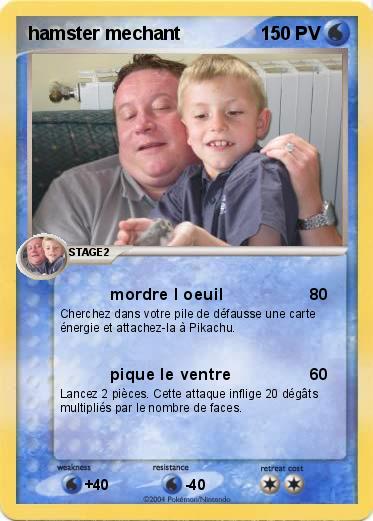 Pokemon hamster mechant