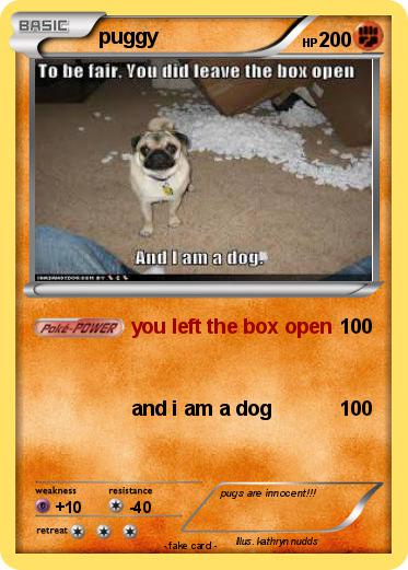Pokemon puggy