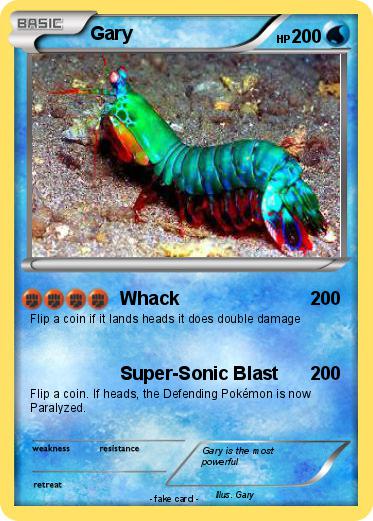 Pokemon Gary