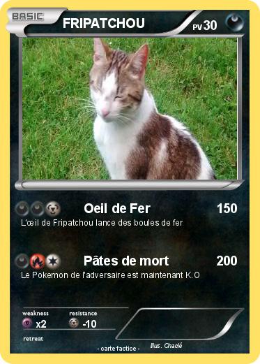 Pokemon FRIPATCHOU