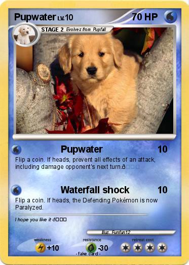 Pokemon Pupwater