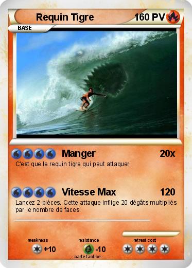 Pokemon Requin Tigre