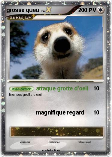 Pokemon grosse queu