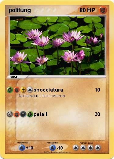 Pokemon politung