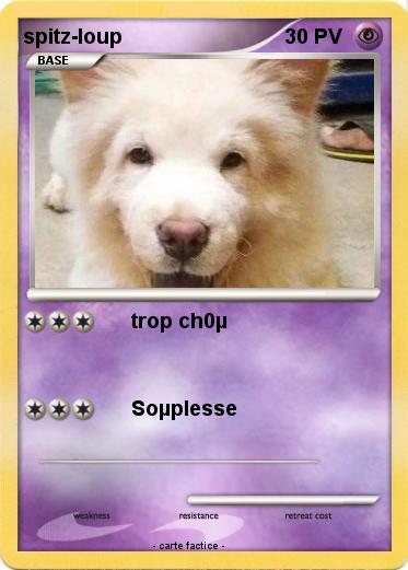 Pokemon spitz-loup