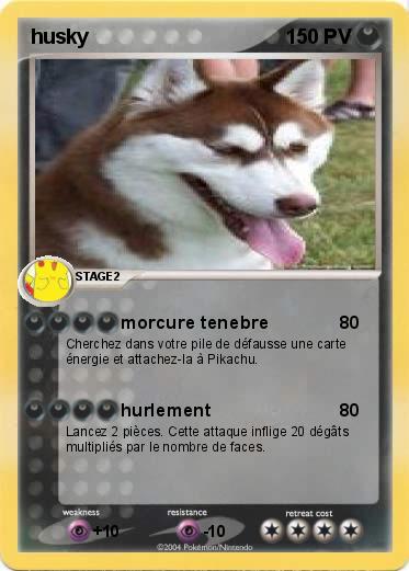 Pokemon husky
