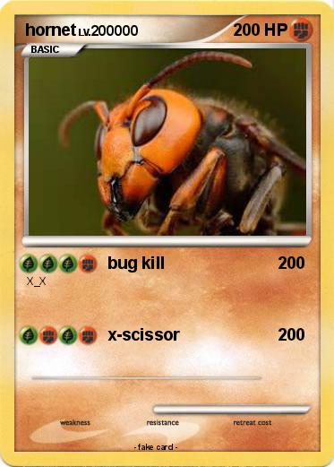 Pokemon hornet