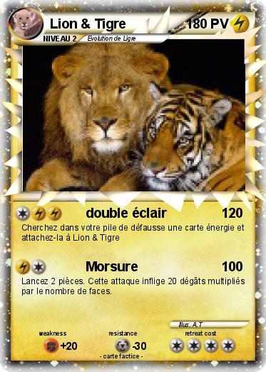 Pokemon Lion & Tigre