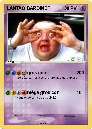 Pokemon LANTAO BARDINET