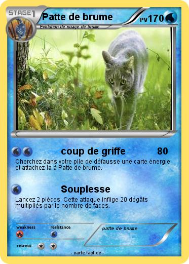 Pokemon Patte de brume
