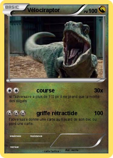 Pokemon Vélociraptor