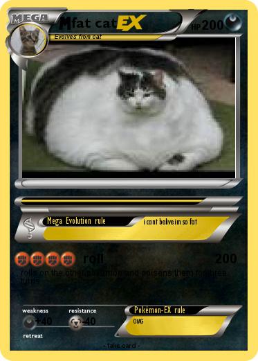Pokemon fat cat