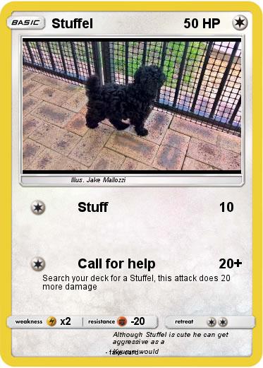 Pokemon Stuffel