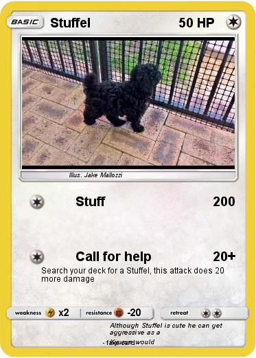 Pokemon Stuffel
