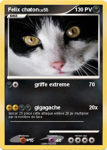 Pokemon Felix chaton