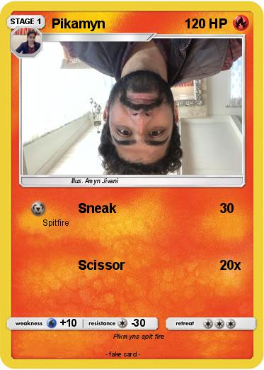 Pokemon Pikamyn