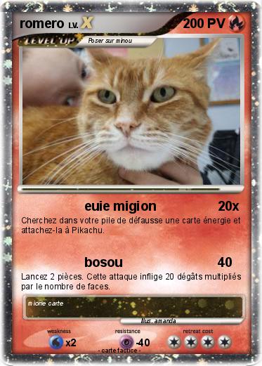 Pokemon romero