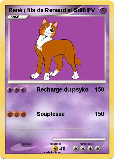 Pokemon René ( fils de Renaud et Sam )