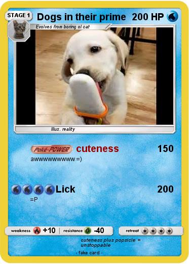 Pokemon Dogs in their prime