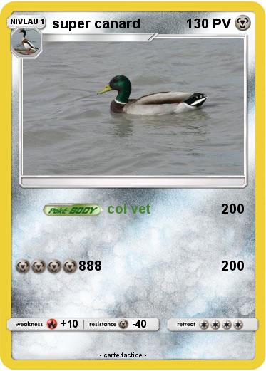 Pokemon super canard