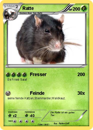 Pokemon Ratte
