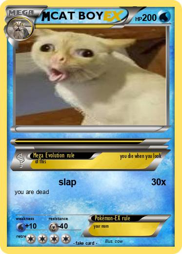 Pokemon CAT BOY