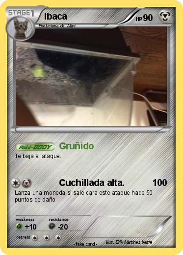 Pokemon Ibaca