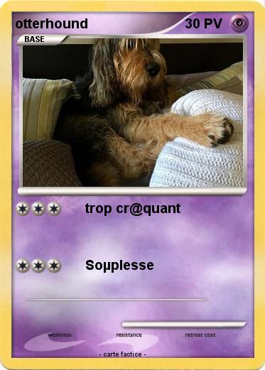 Pokemon otterhound