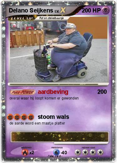 Pokemon Delano Seijkens