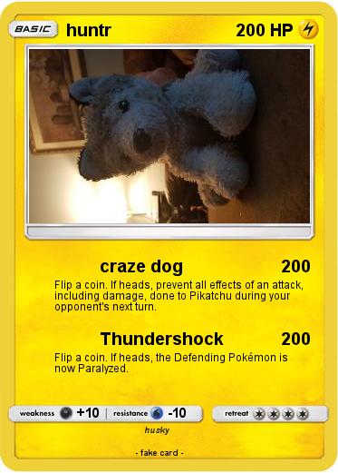 Pokemon huntr