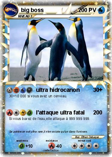 Pokemon big boss