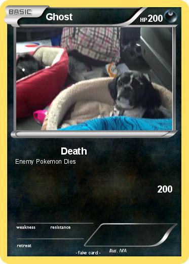 Pokemon Ghost