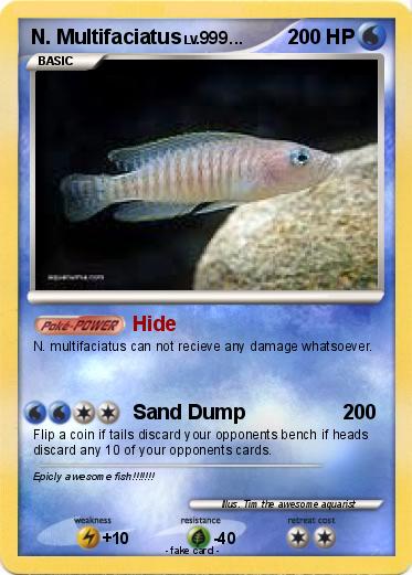 Pokemon N. Multifaciatus