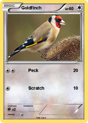 Pokemon Goldfinch