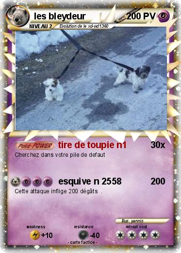 Pokemon les bleydeur