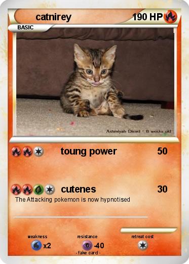 Pokemon catnirey