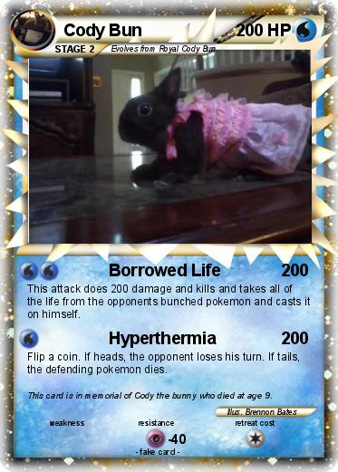 Pokemon Cody Bun