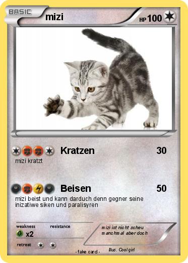 Pokemon mizi