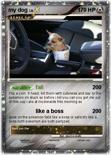 Pokemon my dog