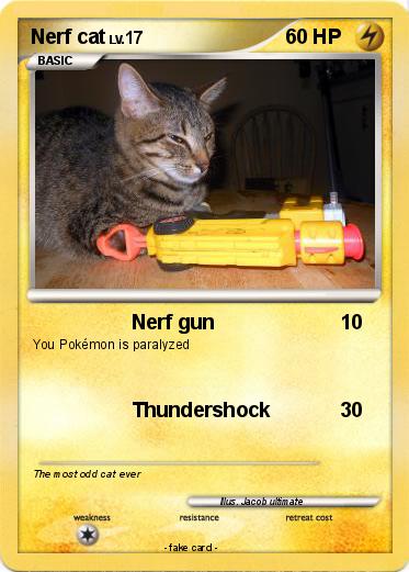 Pokemon Nerf cat