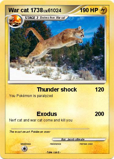 Pokemon War cat 1738
